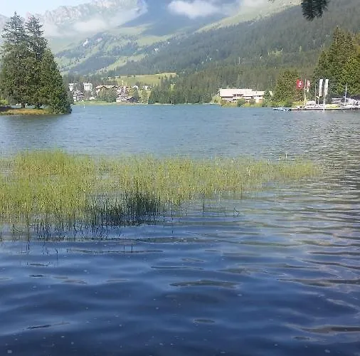 By Grischalodge Motel